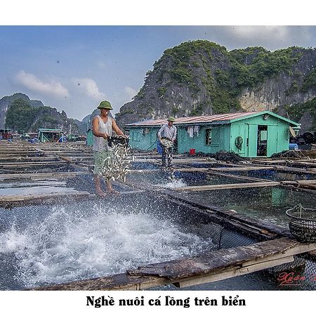 Cat Ba Hostel Cat Ba Island Dış mekan fotoğraf