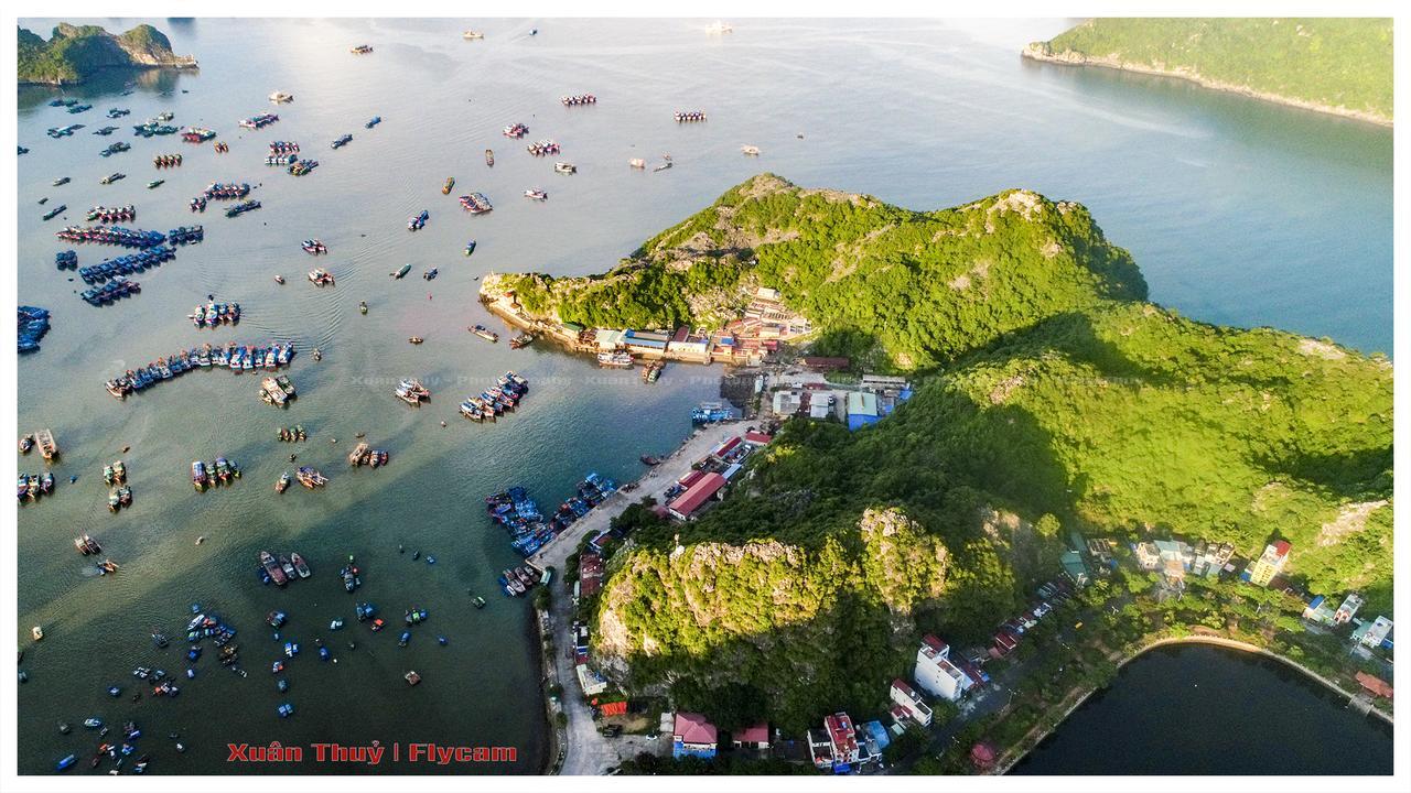 Cat Ba Hostel Cat Ba Island Dış mekan fotoğraf